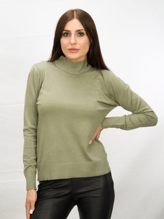 Водолазки_DSG_6102_Без горла