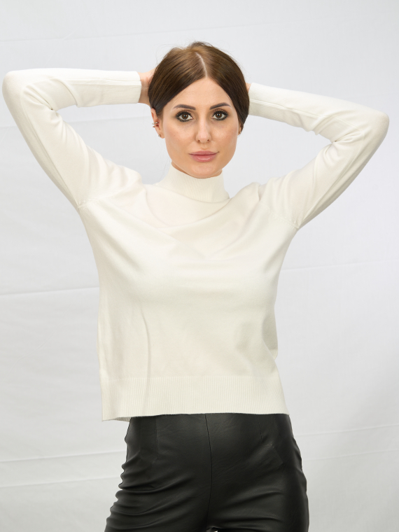 Водолазки_DSG_6116_Без горла