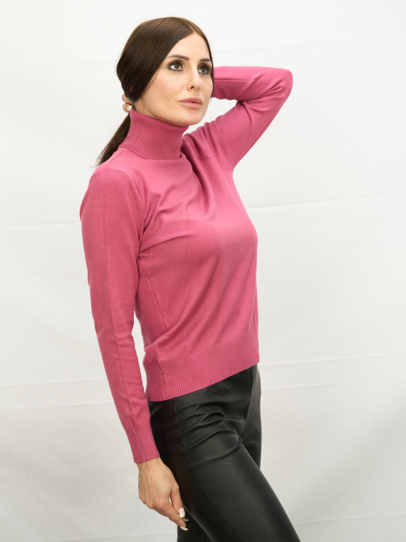 Водолазки_DSG_6249_С горла гольф