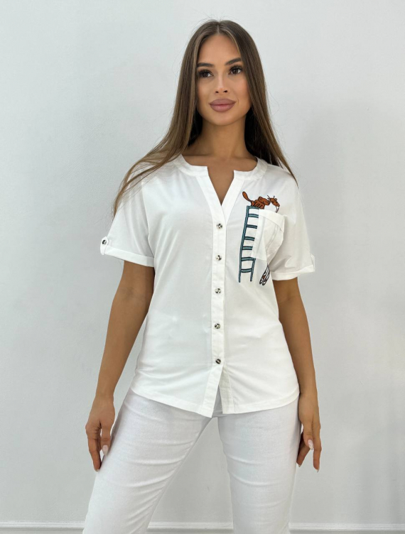 photo_2024-04-17_22-08-59