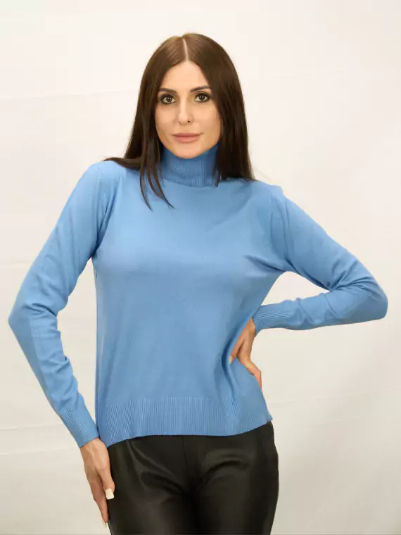 Водолазки_DSG_6197_С горла гольф