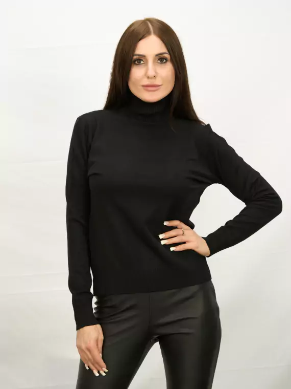 Водолазки_DSG_6217_С горла гольф