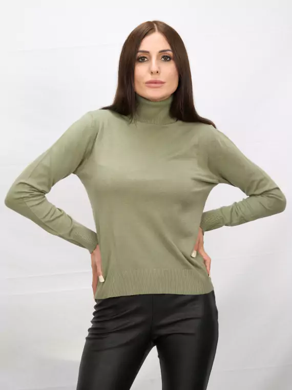 Водолазки_DSG_6225_С горла гольф