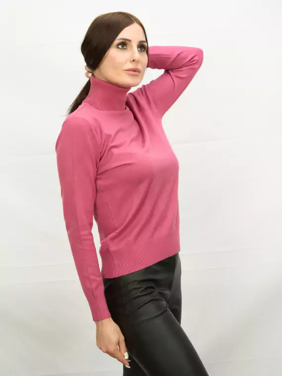 Водолазки_DSG_6249_С горла гольф