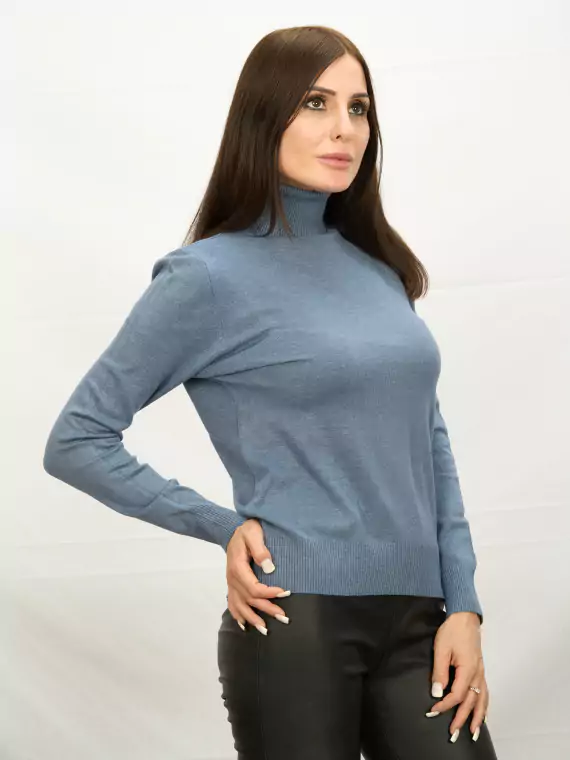 Водолазки_DSG_6281_С горла гольф